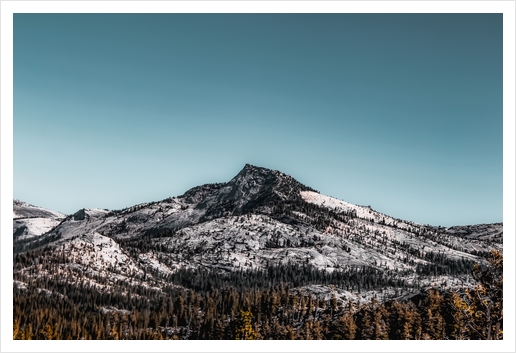 isolated mountain at Yosemite national park California USA Art Print by Timmy333