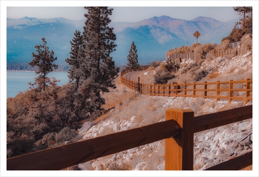 Walkway with pine tree and mountain background at Lake Tahoe Nevada USA Art Print by Timmy333