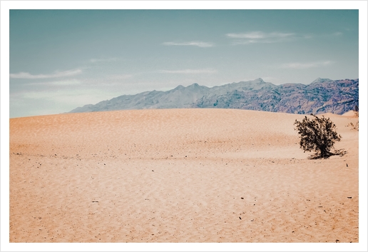 Sand desert and mountain view at Death Valley national park California USA Art Print by Timmy333