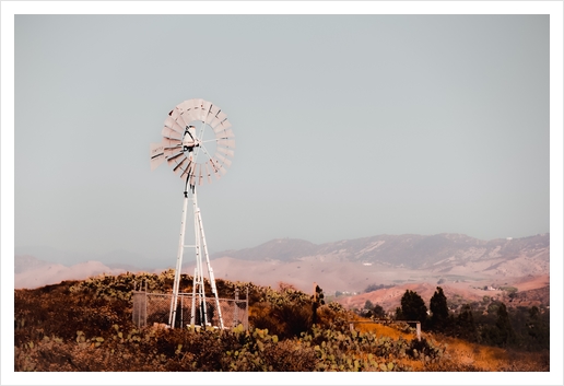 windmill and cactus garden with mountain view and blue sky background Art Print by Timmy333