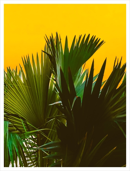 Closeup green tropical palm leaves with yellow background Art Print by Timmy333