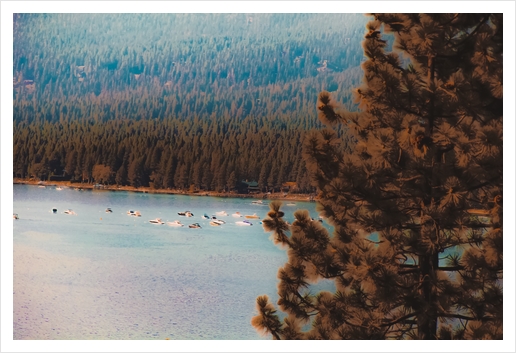 pine tree and boats on the water at Lake Tahoe Nevada USA Art Print by Timmy333