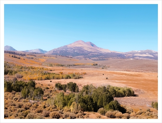 autumn tree with mountain view and blue sky in California USA Art Print by Timmy333