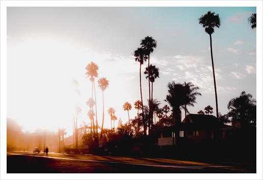 sunset sky in summer with palm tree view in California USA Art Print by Timmy333