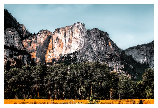 mountains with pine tree and blue sky at Yosemite national park, California, USA Art Print by Timmy333