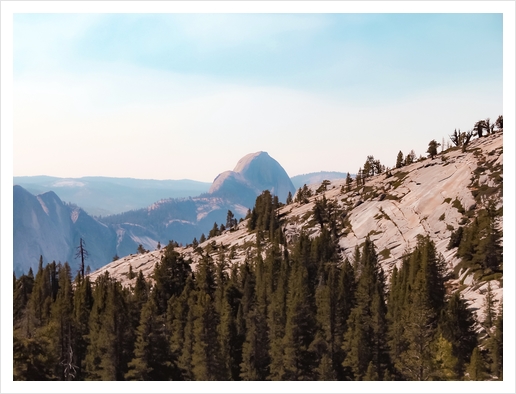 mountain and pine tree at Yosemite national park USA Art Print by Timmy333