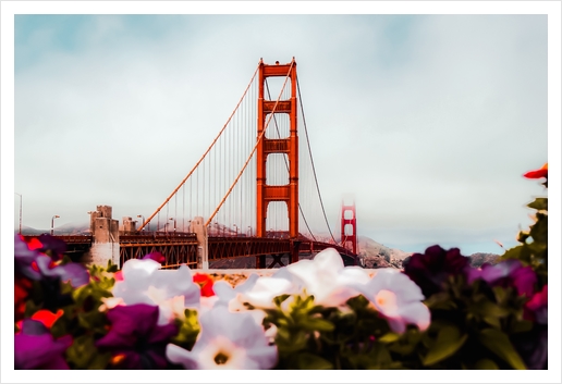 Golden Gate Bridge, San Francisco, USA with blooming flowers Art Print by Timmy333