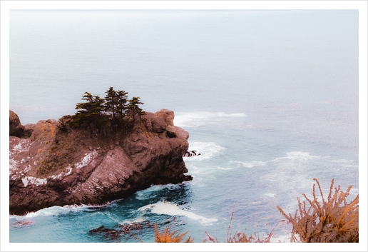 Coastal view at Mcway Falls, Big Sur, Highway 1, California, USA Art Print by Timmy333