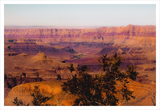Desert in summer at Grand Canyon national park USA Art Print by Timmy333