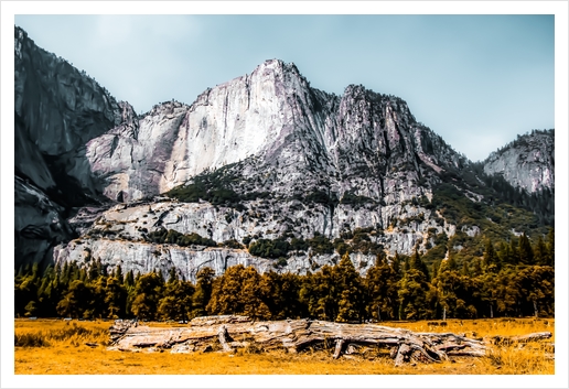 Mountains with dry field and pine tree view at Yosemite national park, California, USA Art Print by Timmy333