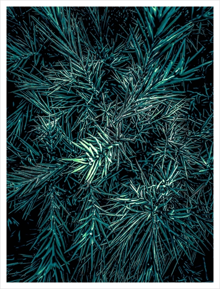 green spiky plant texture abstract background Art Print by Timmy333