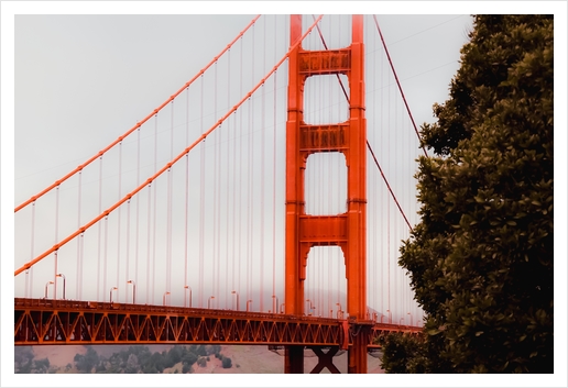 Closeup Golden Gate Bridge San francisco USA Art Print by Timmy333