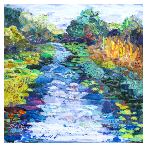 Wekiva River Morning Art Print by Elizabeth St. Hilaire