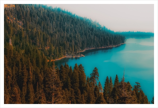 Pine tree and lake view at Emerald Bay Lake Tahoe California USA Art Print by Timmy333