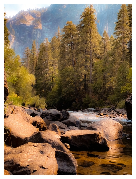 river and pine tree at Yosemite national park USA Art Print by Timmy333