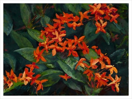 Red Ixora Oahu Art Print by DanKeizer