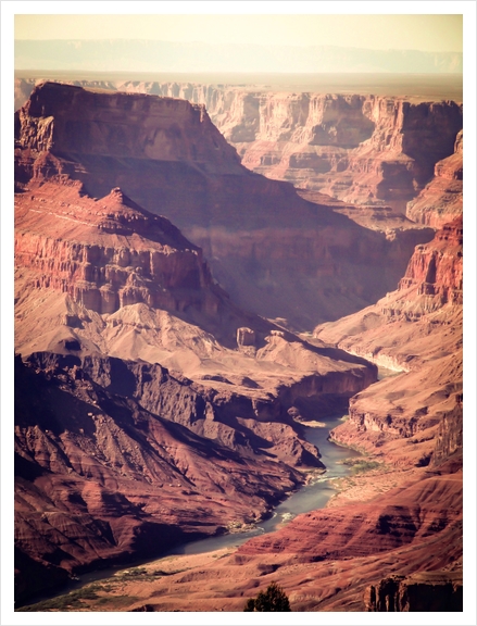 desert at Grand Canyon national park, USA Art Print by Timmy333