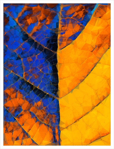 closeup leaf texture geometric triangle abstract pattern in blue orange yellow Art Print by Timmy333