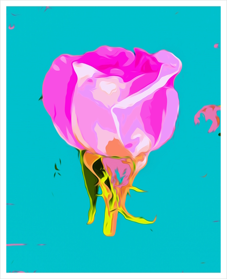 drawing pink rose with blue background Art Print by Timmy333