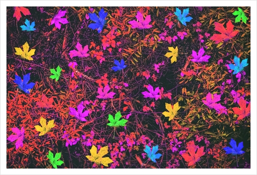 maple leaf in yellow green pink blue red with red and orange creepers plants background Art Print by Timmy333