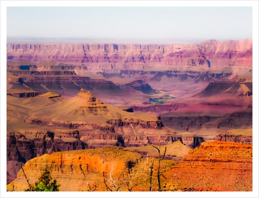 desert view at Grand Canyon national park, USA Art Print by Timmy333