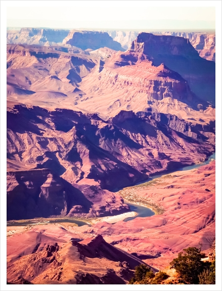 closeup desert at Grand Canyon national park, USA Art Print by Timmy333