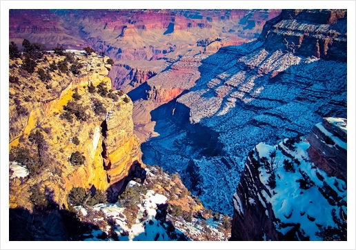 winter light at Grand Canyon national park, USA Art Print by Timmy333