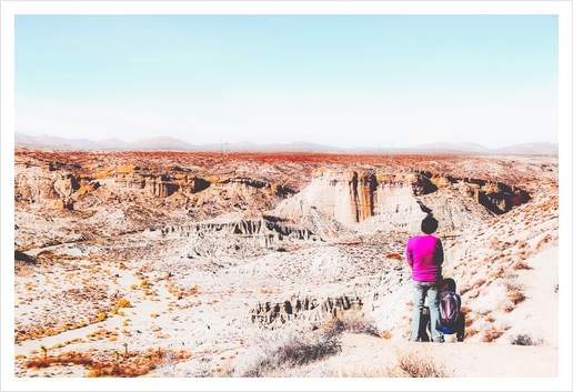 Desert with blue sky in summer in California, USA Art Print by Timmy333