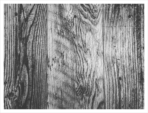 vintage wood texture background in black and white Art Print by Timmy333