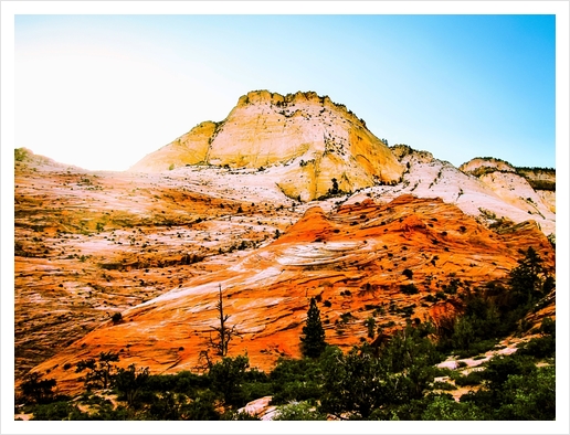 mountain at Zion national park, USA Art Print by Timmy333