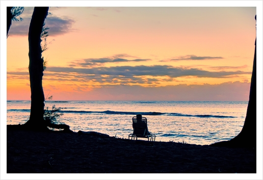 morning beach at Kauai, Hawaii, USA Art Print by Timmy333