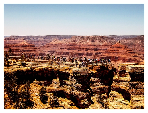 at Grand Canyon national park, USA Art Print by Timmy333