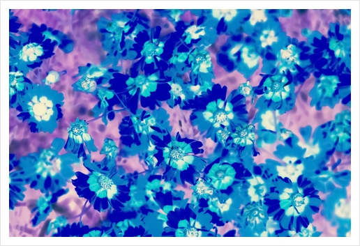 blooming blue flower abstract with pink background Art Print by Timmy333