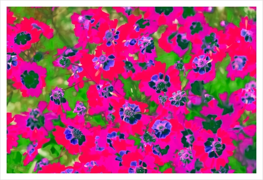 blooming pink flower with green leaf background Art Print by Timmy333