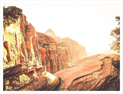 rocky mountain with strong sunlight at Zion national park, USA Art Print by Timmy333