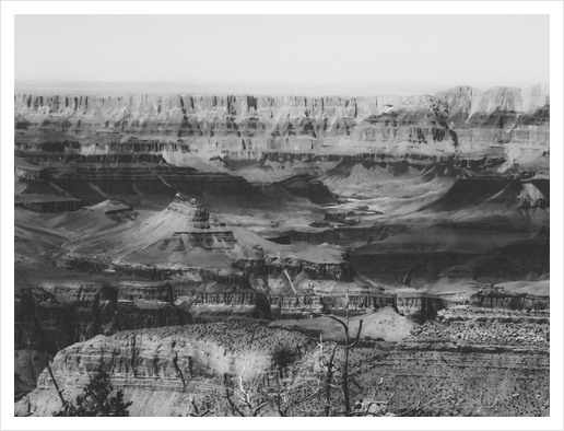 rocky mountain at Grand Canyon national park, USA in black and white Art Print by Timmy333