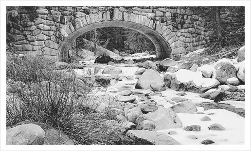 river covered with snow at Sequoia national park, USA in black and white Art Print by Timmy333