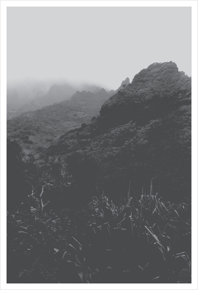 mountain in the forest with foggy sky in black and white Art Print by Timmy333