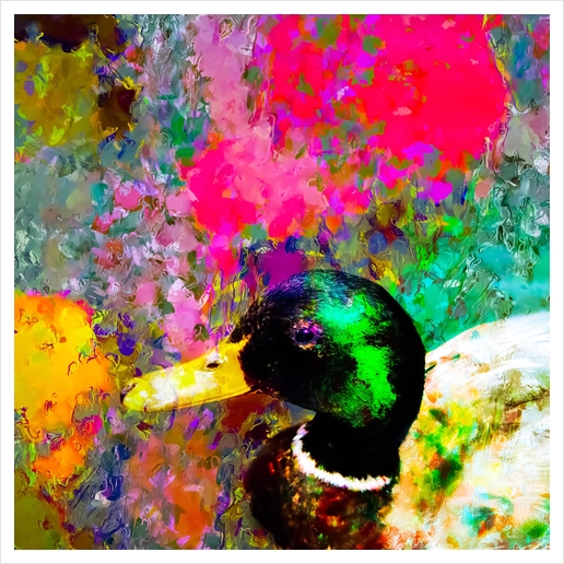 mallard duck with pink green brown purple yellow painting abstract background Art Print by Timmy333