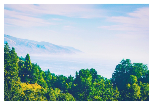 Beautiful ocean view with forest front view at Big Sur, California, USA Art Print by Timmy333