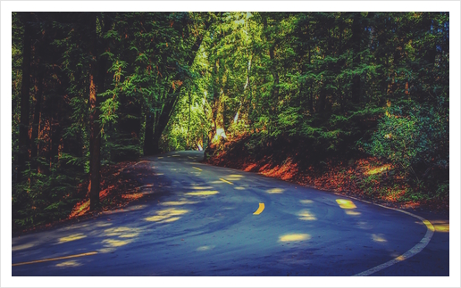 Road to nature on Highway 1, California, USA Art Print by Timmy333