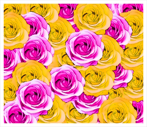 pink rose and yellow rose pattern abstract background Art Print by Timmy333