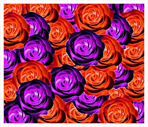 blooming rose texture pattern abstract background in red and purple Art Print by Timmy333