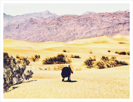 At Death Valley national park, USA in summer Art Print by Timmy333