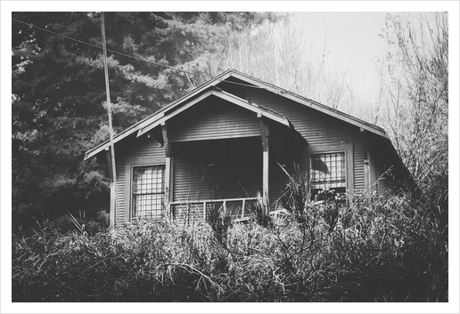 wooden house in the forest with rain in black and white Art Print by Timmy333