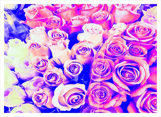 bouquet of roses texture pattern abstract in pink and purple Art Print by Timmy333