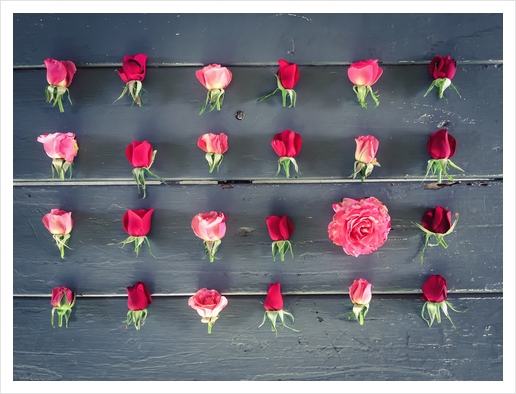 fresh red and pink roses on the wooden table Art Print by Timmy333