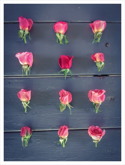 pink roses and red rose on the table Art Print by Timmy333