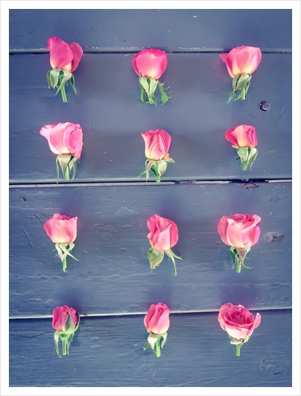 pink baby roses on the wooden table Art Print by Timmy333