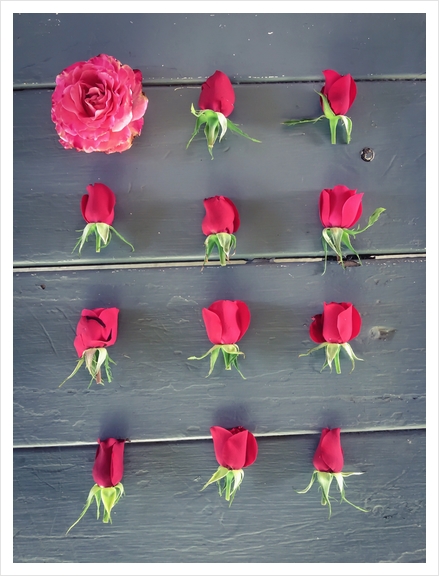 red roses and pink rose on the table Art Print by Timmy333